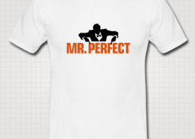 Mr Perfect